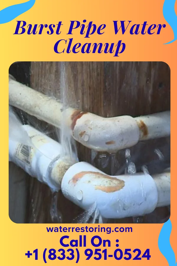 Burst Pipe Water Cleanup in Richfield Springs, NY